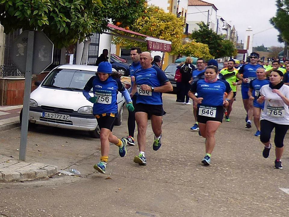 carrera