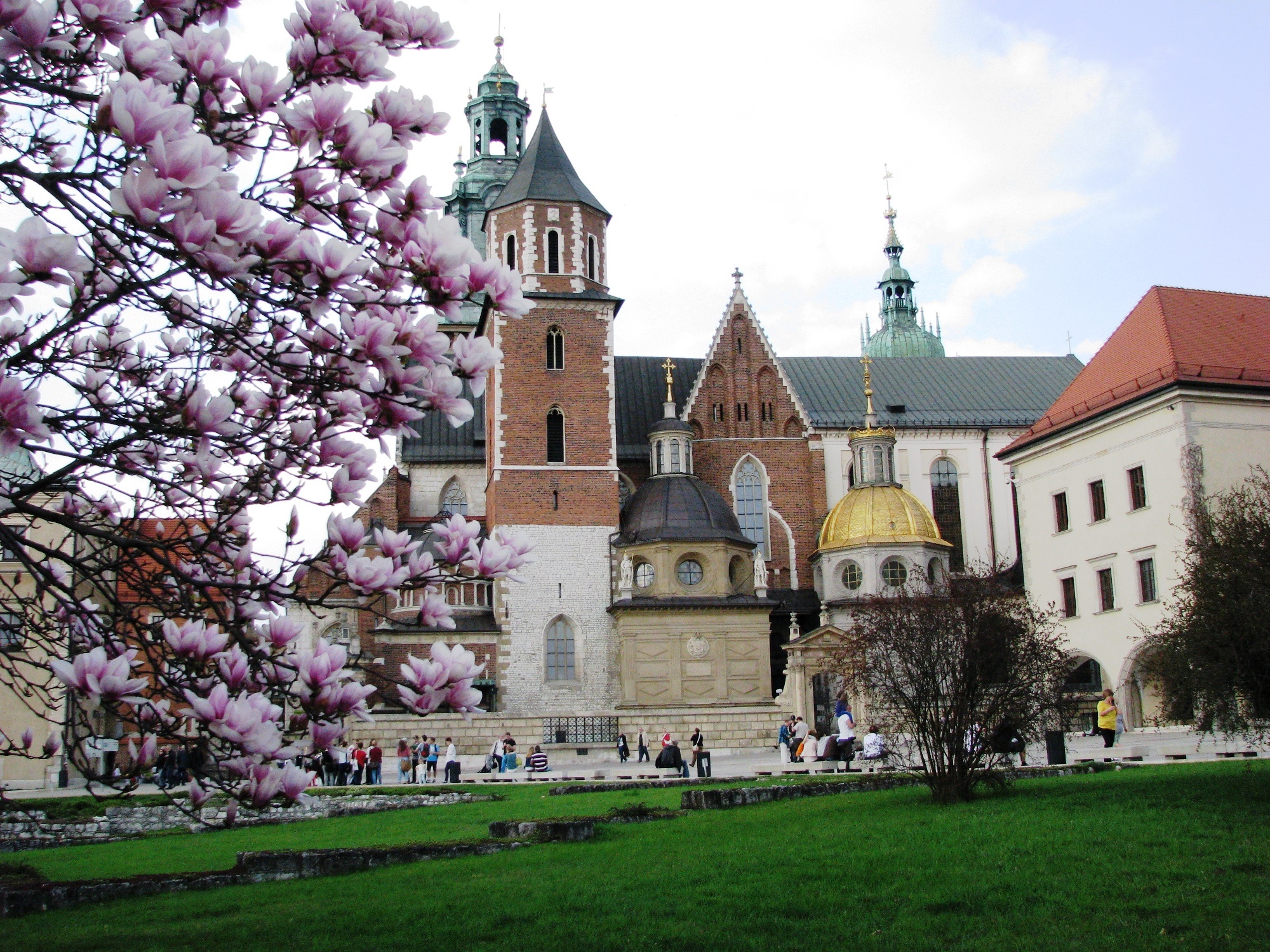 castillo catedral cracovia flores