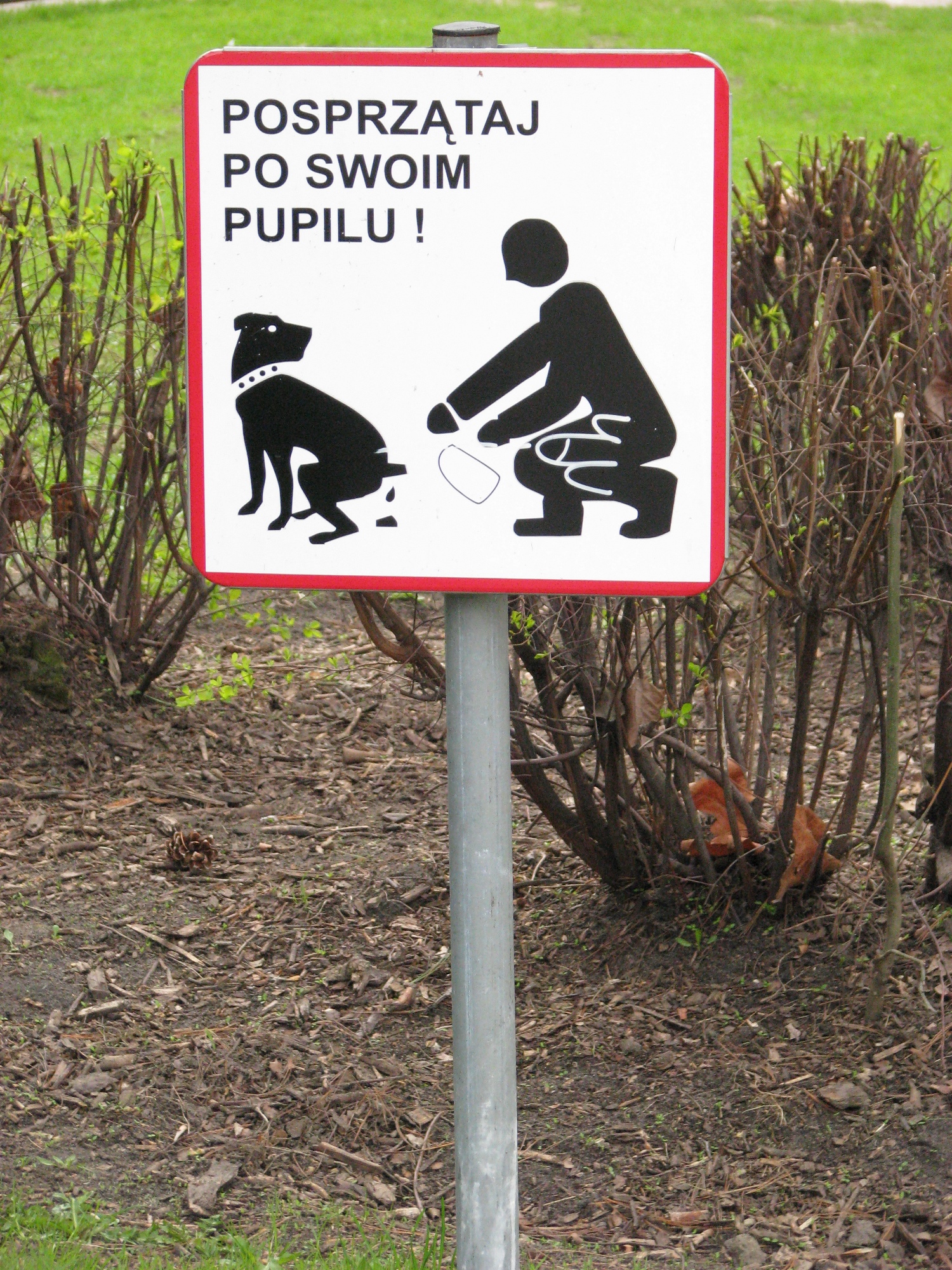 cartel juntar caca de perro en polaco